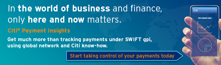 Citi Payment Insights